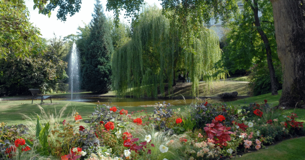 Visiter l’Avenue de Champagne