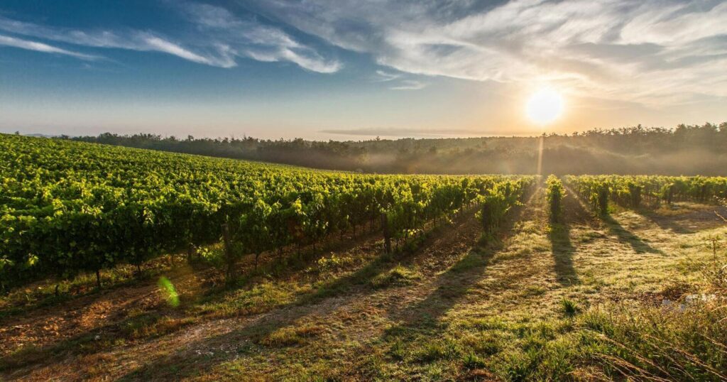 Séjour romantique en Champagne