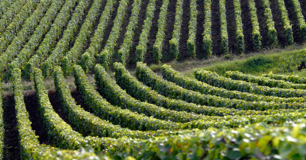 Best hotel in Champagne France - VILLA EUGENE